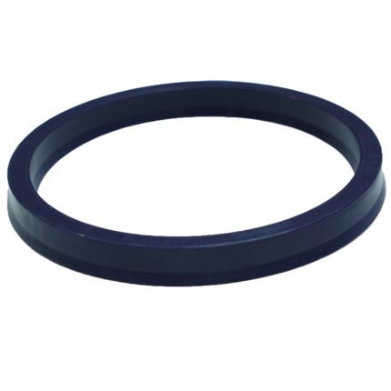 BMX 250/450 Lip Seal | Eterra
