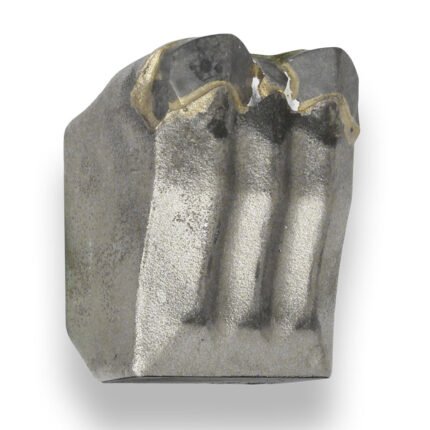 Double Carbide Mulching Tooth | Promac